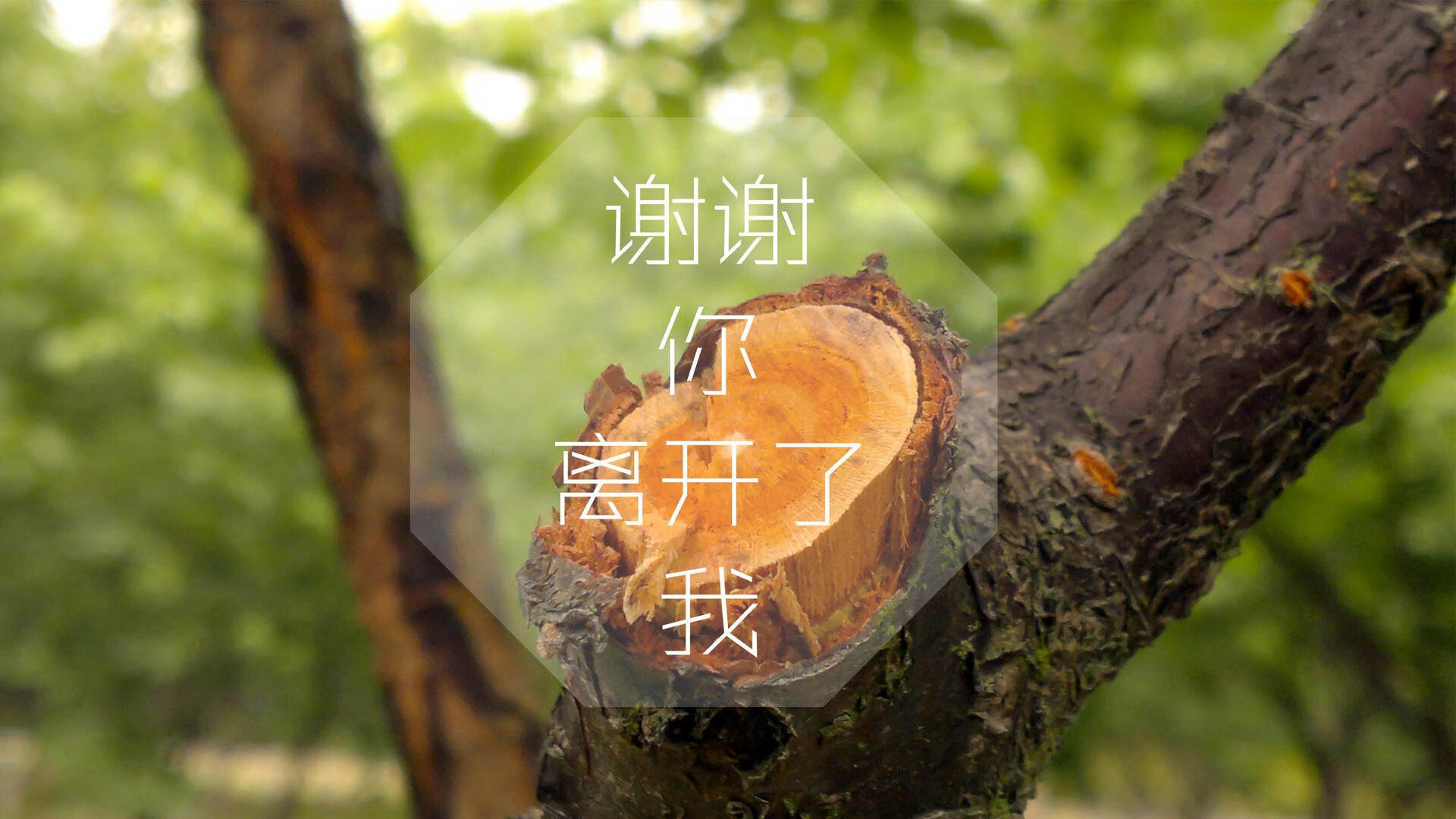 Kaiyun(中国)开云-德国男子场地自行车选手在竞速赛中获得第六名，德国骑自行车