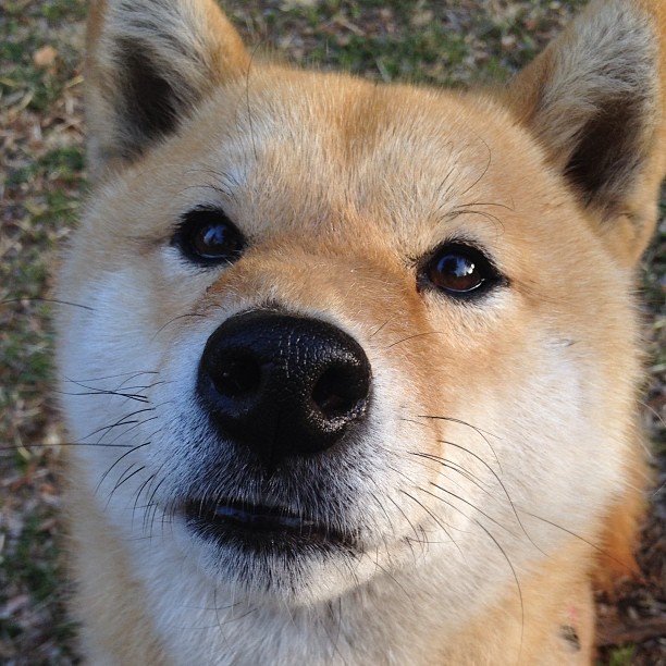 体育新闻中心协同高校开展体育新闻融合教学改革，体育教学新闻稿