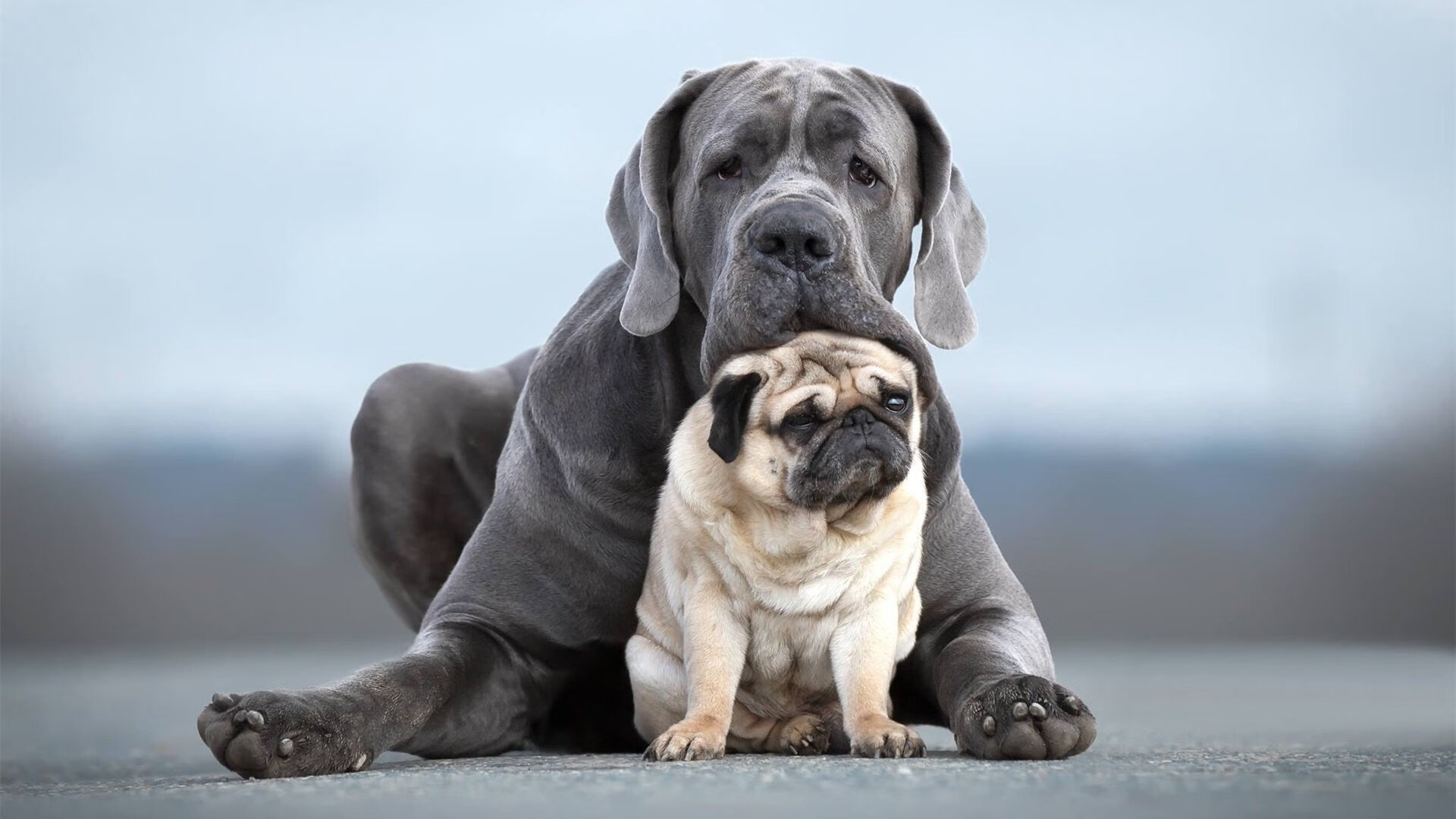 kaiyun-勒沃库森积极拼抢打乱比赛节奏，勒沃库森比赛预测聚胜顽球汇
