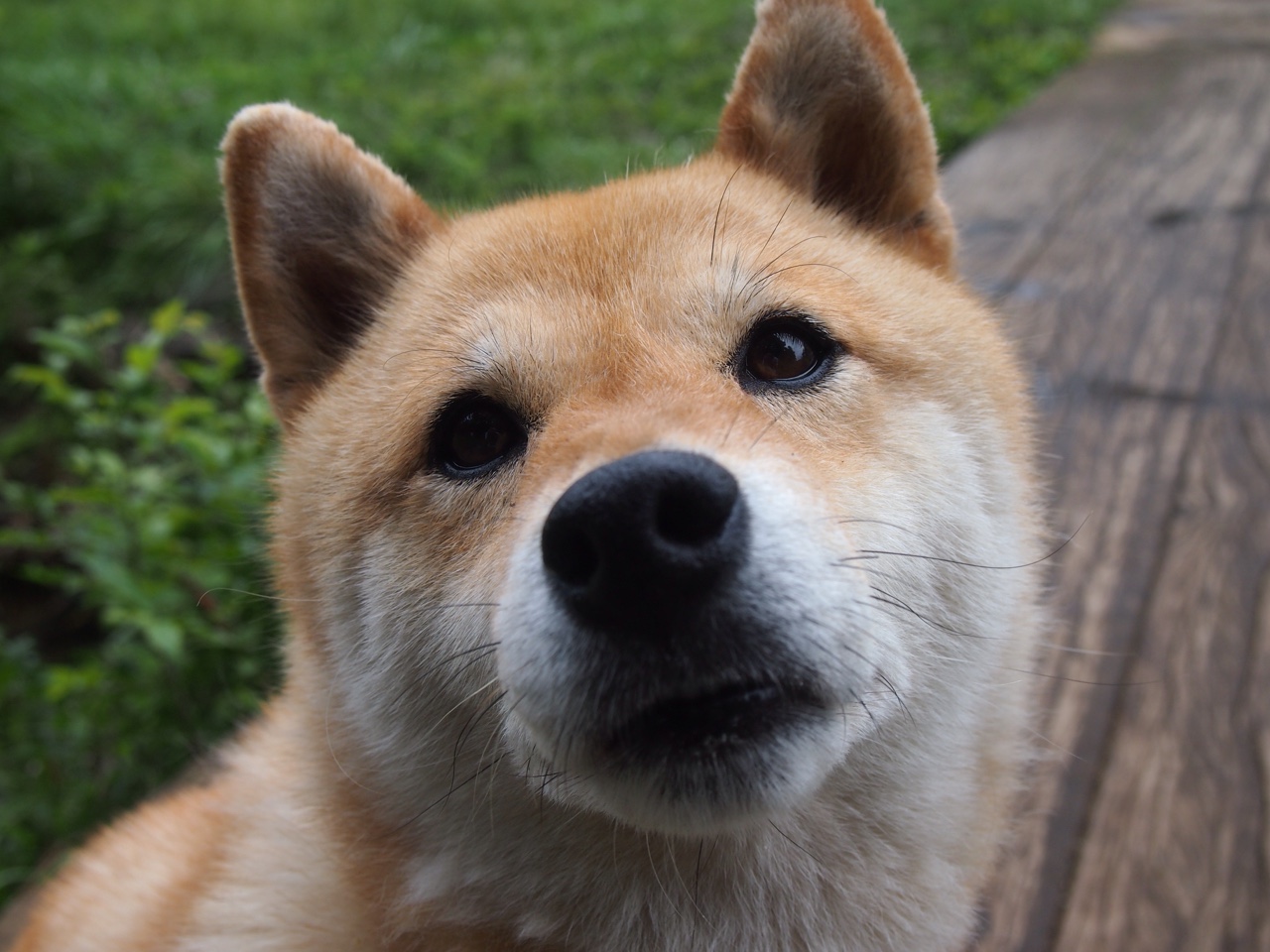 开云官方网站-巴塞罗那边路突破成为制胜关键，巴塞罗那站位