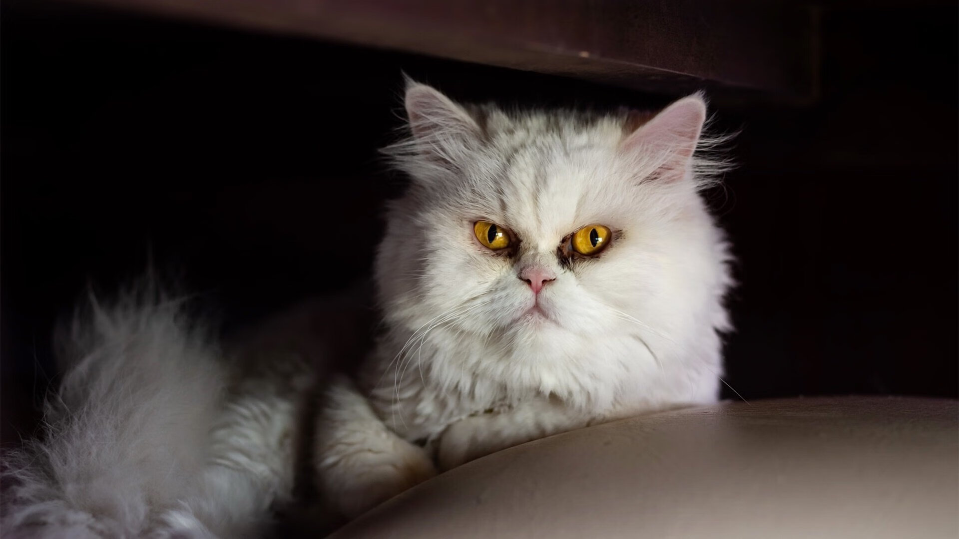 比赛节奏掌控球队如何调整攻防节拍，篮球控球节奏