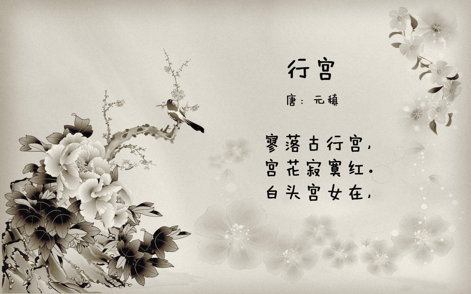 中国足球联赛规范俱乐部社交平台运营行为,足球俱乐部管理app