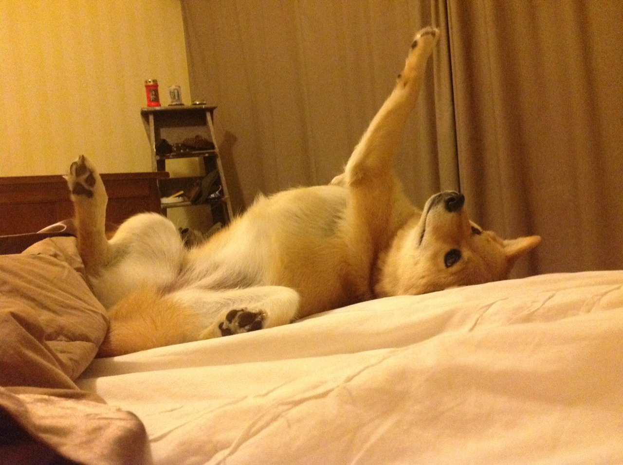 企业家成立篮球发展基金，支持青少年项目，关于建立青少年篮球训练基地