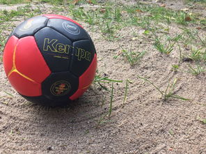 开云平台-安提瓜和巴布达在中美洲锦标赛中夺冠，体育实力不断崛起