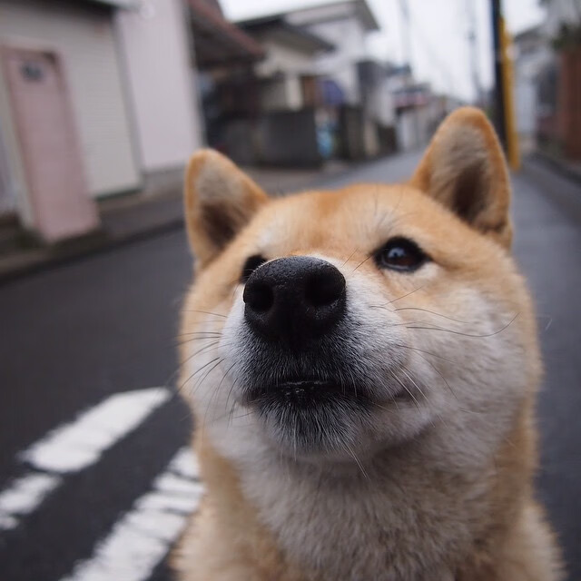 拉文称整体提升才是赛季最终目标，拉文有q4战术吗