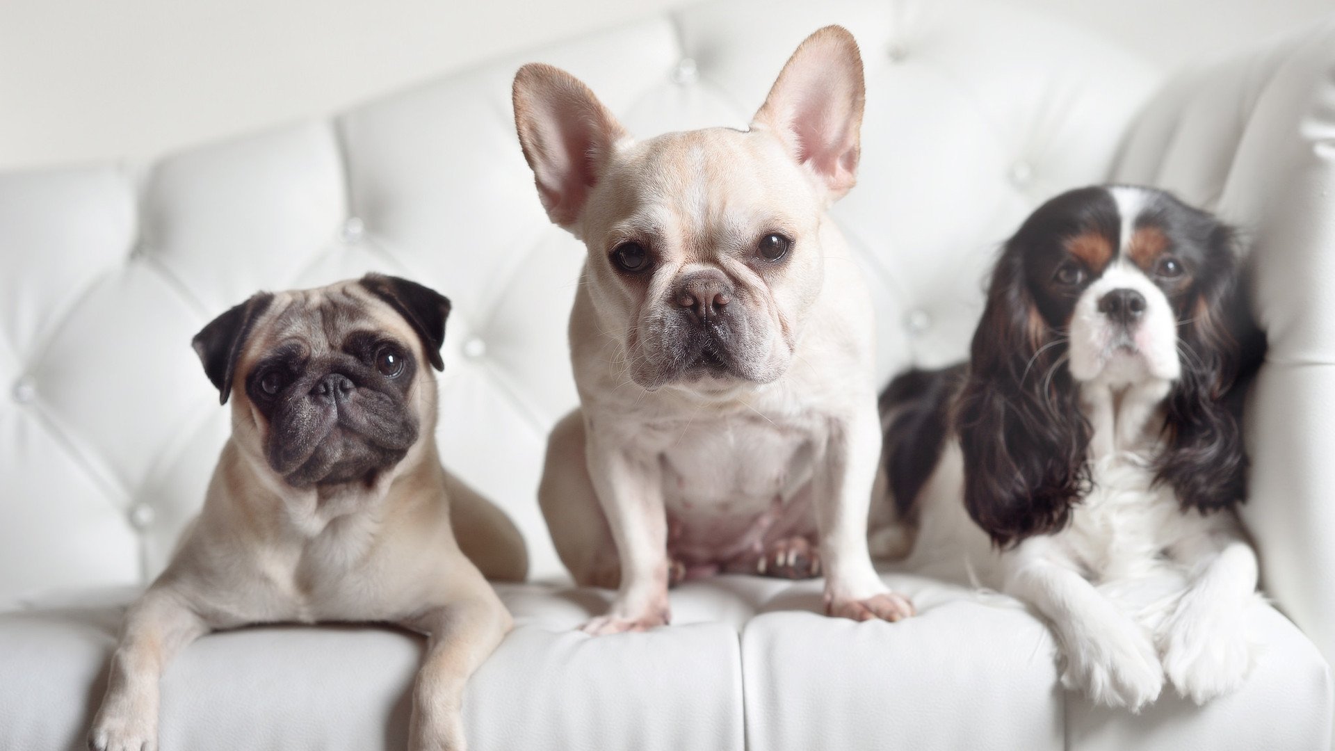 开云体育APP下载-斯洛伐克男篮在欧洲大赛中奋勇逐梦，迈向新的高度，斯洛伐克 欧洲杯