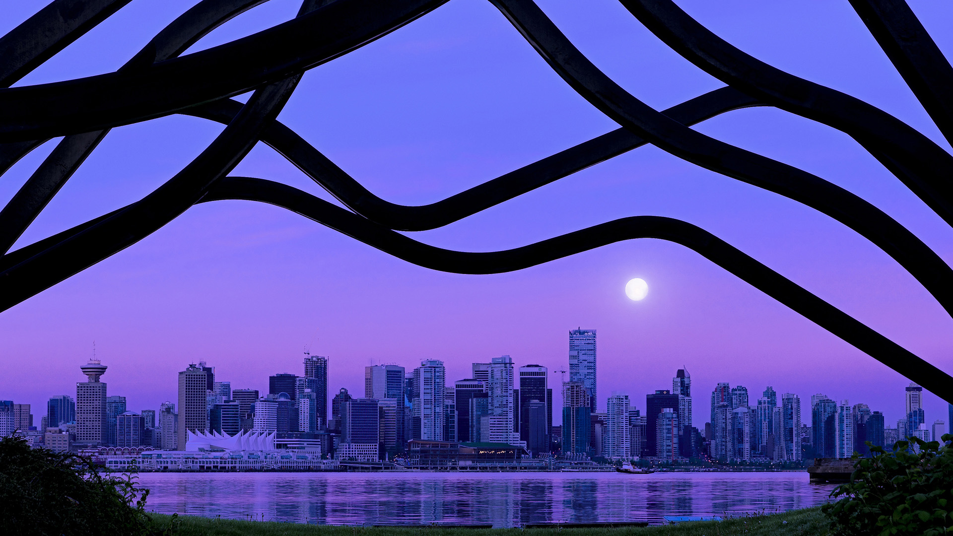 开云体育视频直播-橄榄球冠军锦标赛：澳大利亚袋鼠队的复兴之路，澳大利亚橄榄球队队名