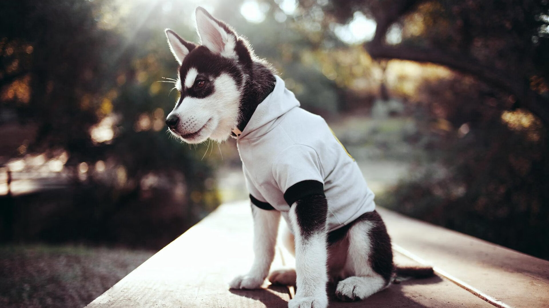 男子国家队加强三分球练习提升外线威胁,三分球训练教学视频