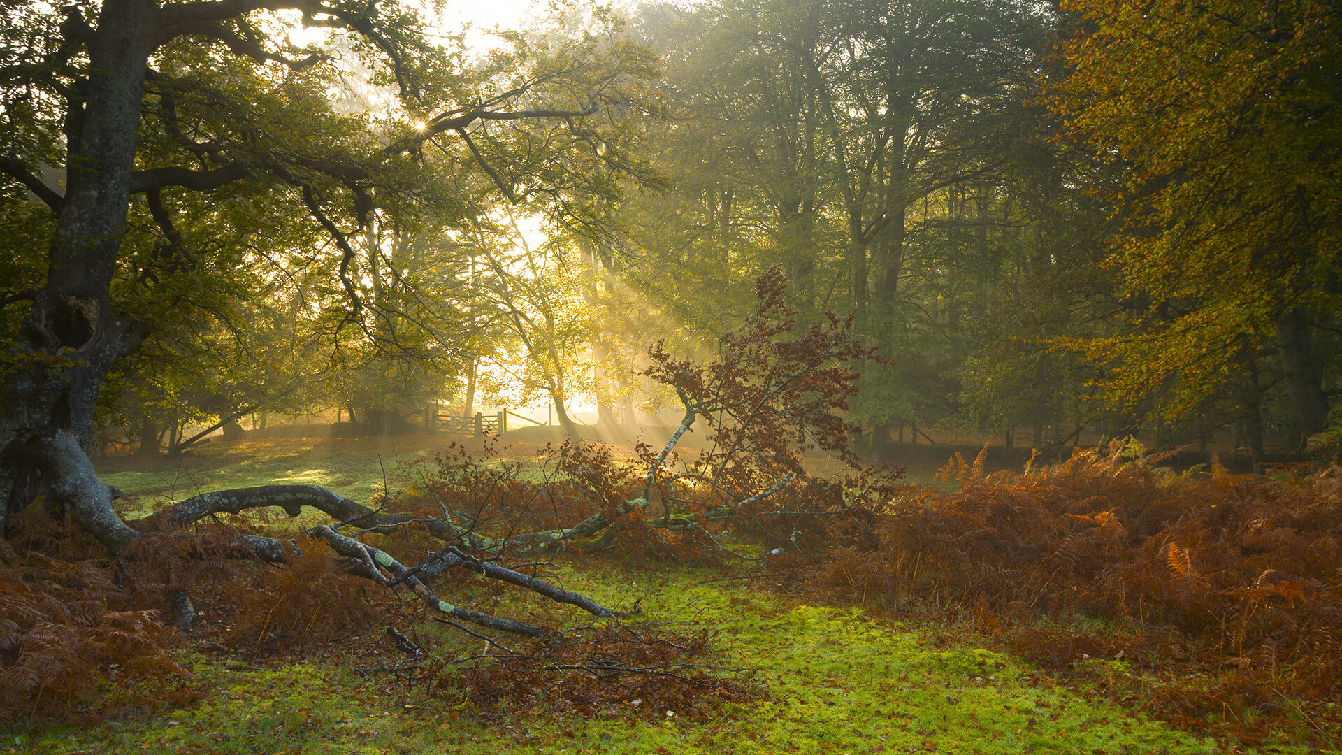 开云·Kaiyun网页版-越南女篮在亚洲锦标赛中表现优异，逐步走向世界