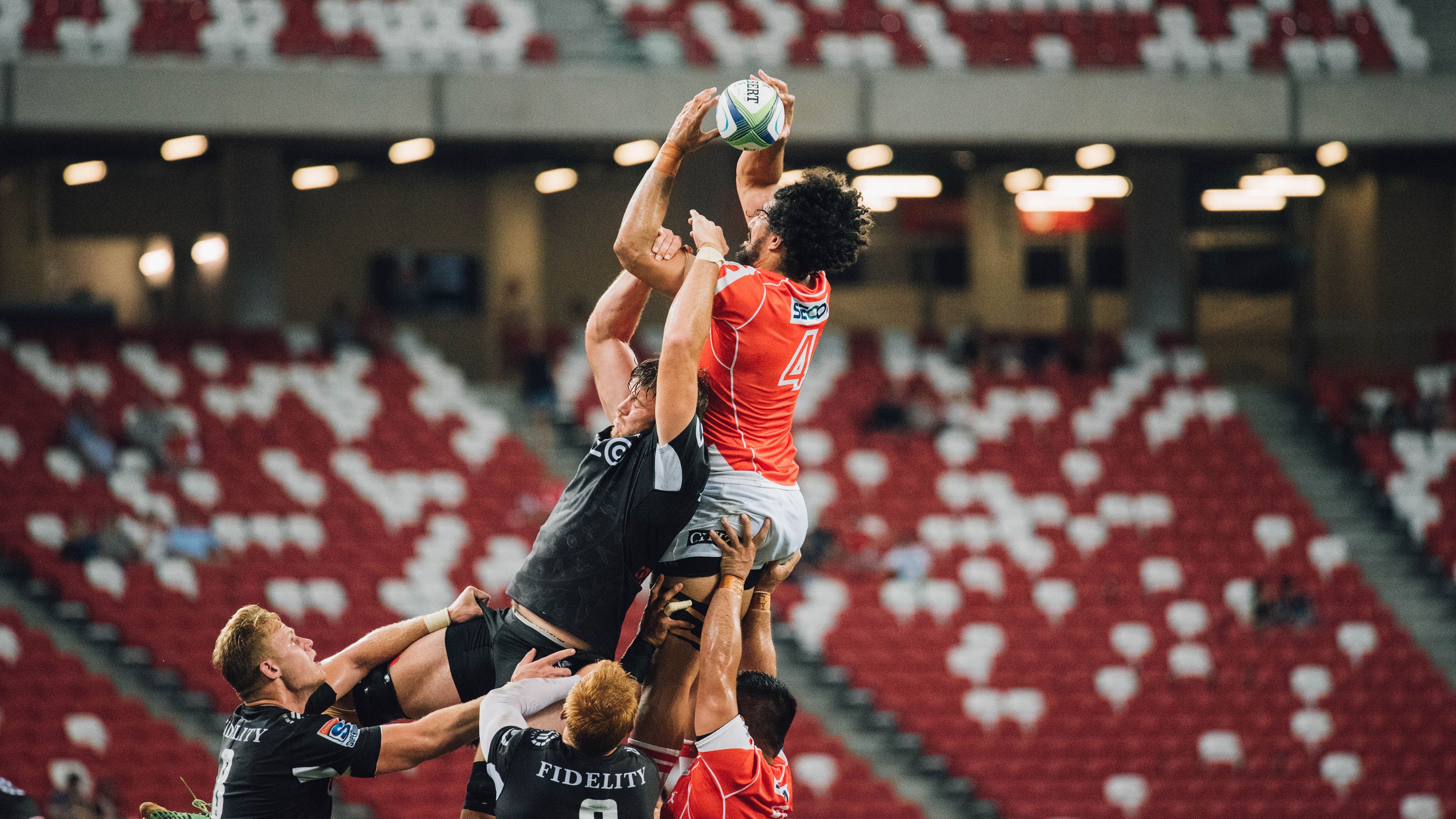 “国王队青年才俊崛起,未来可期”,国王队百科