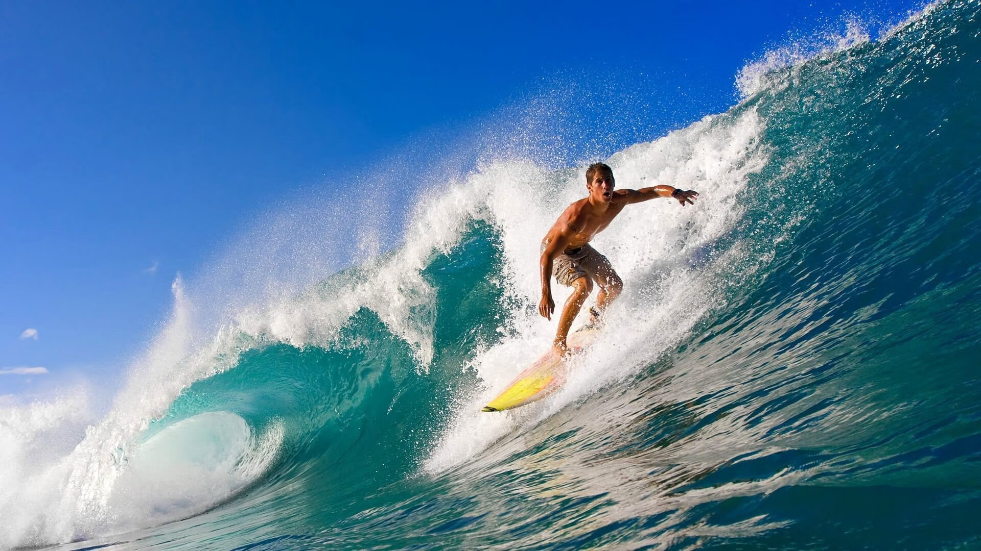 “幕后英雄:车队坚守的坚持与智慧”,车队的岗位职责流程及制度